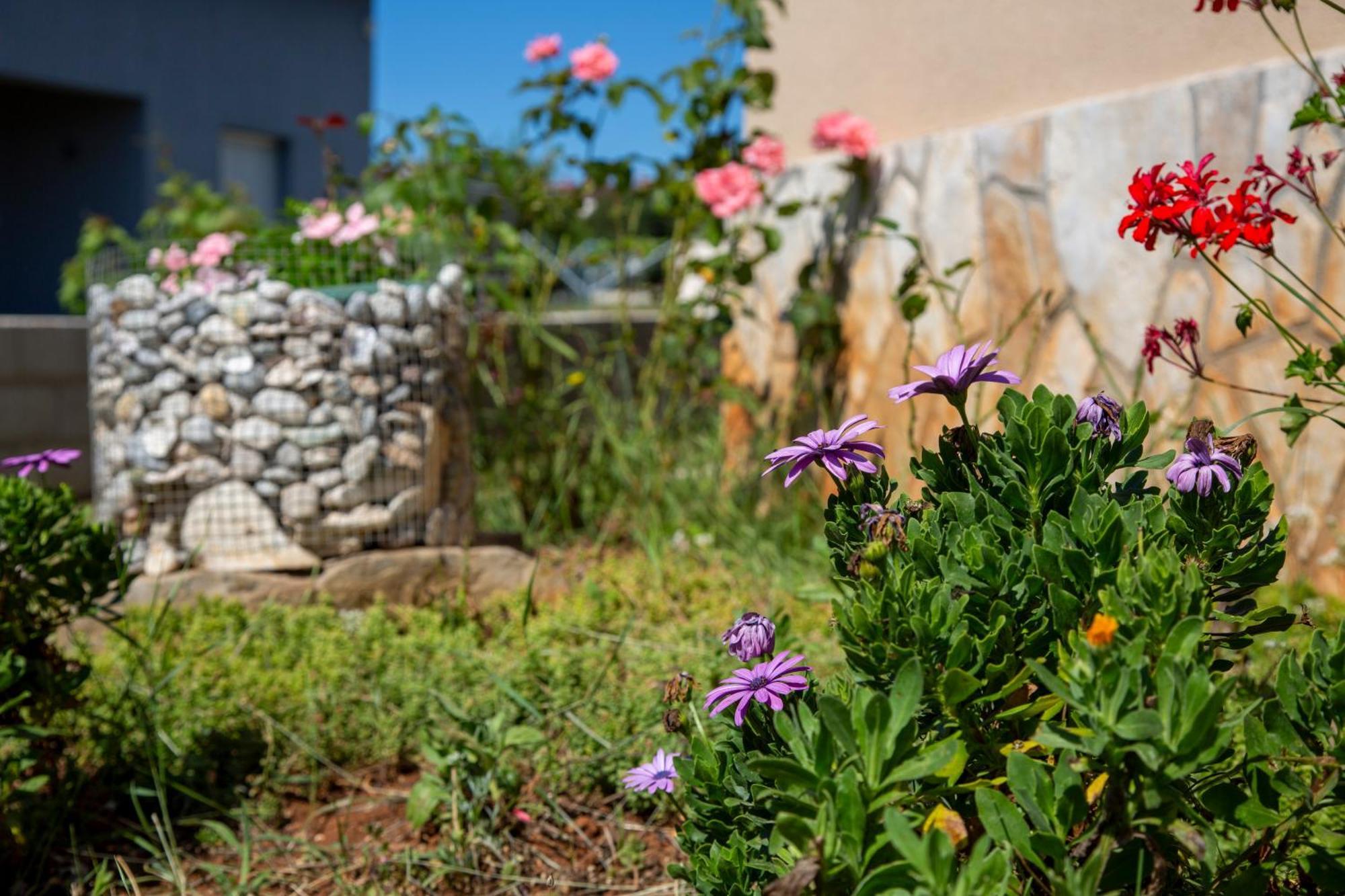 Apartman Viki Stinjan Pula Exterior foto